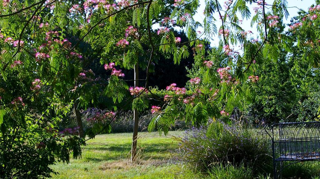 L'Olivier Villa Monts-sur-Guesnes Bagian luar foto