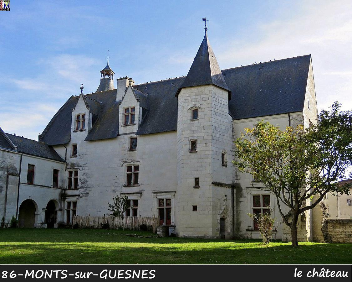 L'Olivier Villa Monts-sur-Guesnes Bagian luar foto