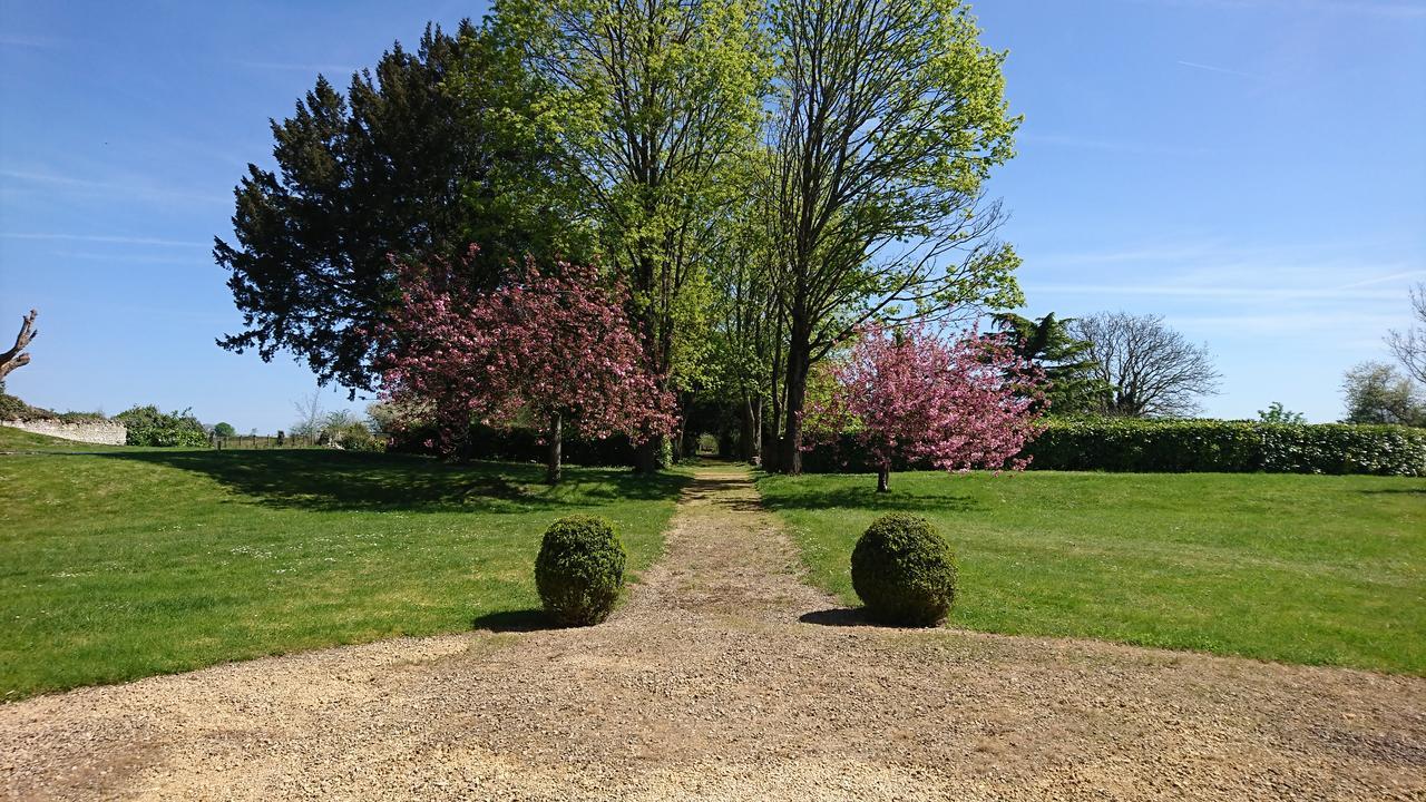 L'Olivier Villa Monts-sur-Guesnes Bagian luar foto