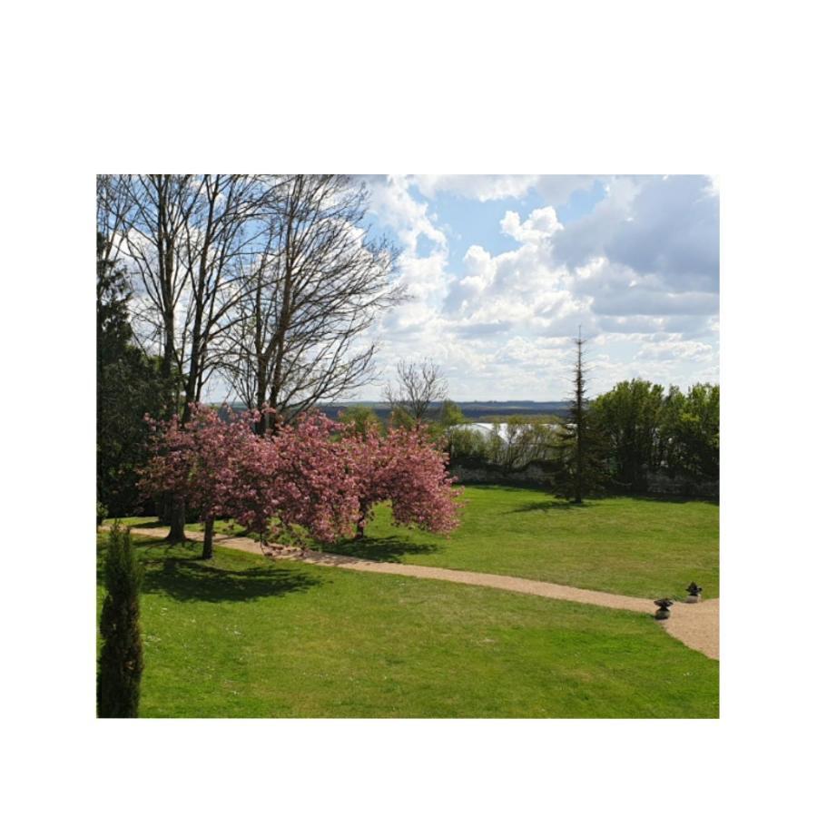 L'Olivier Villa Monts-sur-Guesnes Bagian luar foto